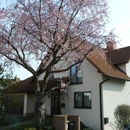 Ferienwohnung Kiko Zornheim Exterior foto
