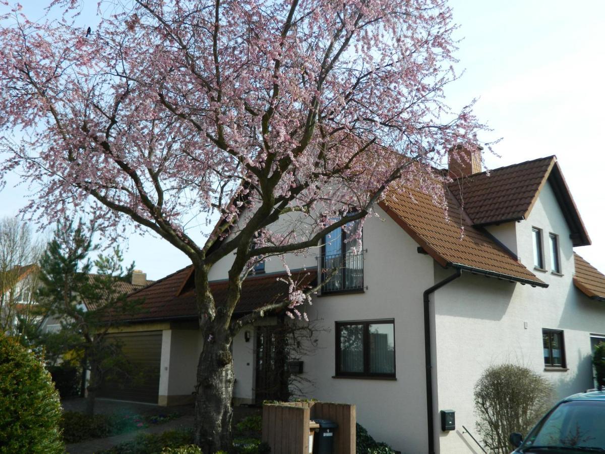 Ferienwohnung Kiko Zornheim Exterior foto